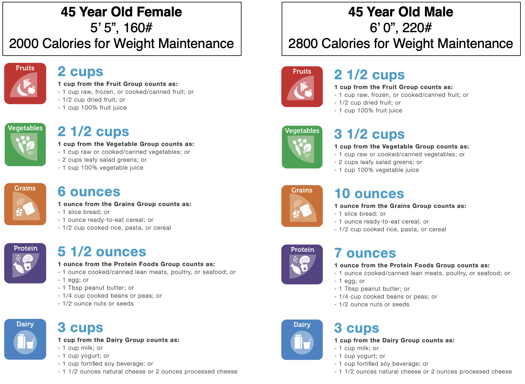 Depending on Your Body Size and Calorie Needs You will Need to Eat a Different Number of Portions from Each Food Group. You can find what your food group needs are by navigating to ChooseMyPlate.gov.
