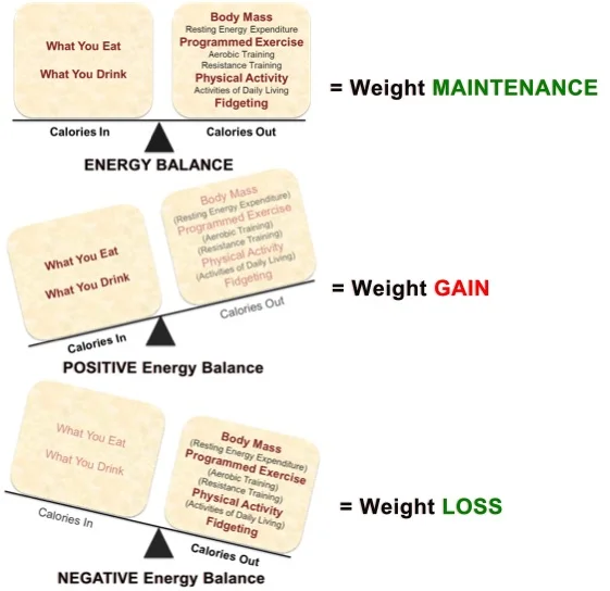 Energy Balance: maintenance, gain, and loss states