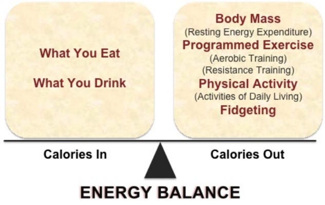 Calories in, calories out equation