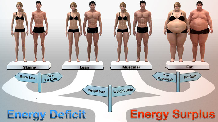 Figure 3: The Energy Balance/Nutrition Continuum. The amount of food we eat and the amount of energy we burn contribute to where we find ourselves on the nutrition continuum.