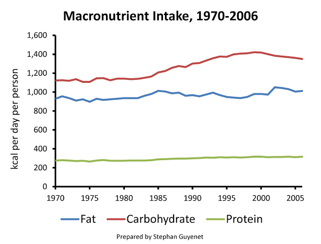 Macronutrient Intake in the United States from 1970 to 2006