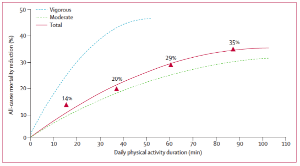 Daily physical activity duration and all-cause mortality reduction. Increasing physical activity reduces your risk of dying prematurely, even at a moderate intensity (i.e., brisk walking) ( 4 ).