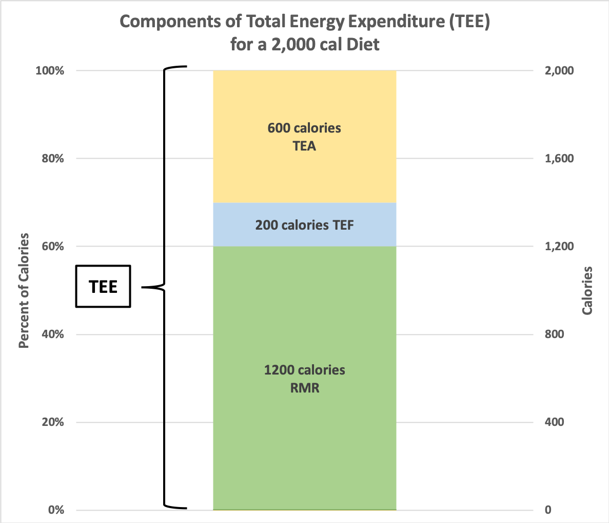 Figure 2. Total Energy Expenditure is made up of how many calories you burn during physical activity (TEA), how many calories you burn digesting and absorbing food (TEF), and how many calories your major body organs burn to keep you alive (RMR).
