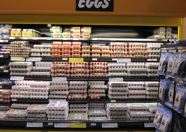 With So Many Claims, What Eggs Should I Buy at the Grocery Store?
