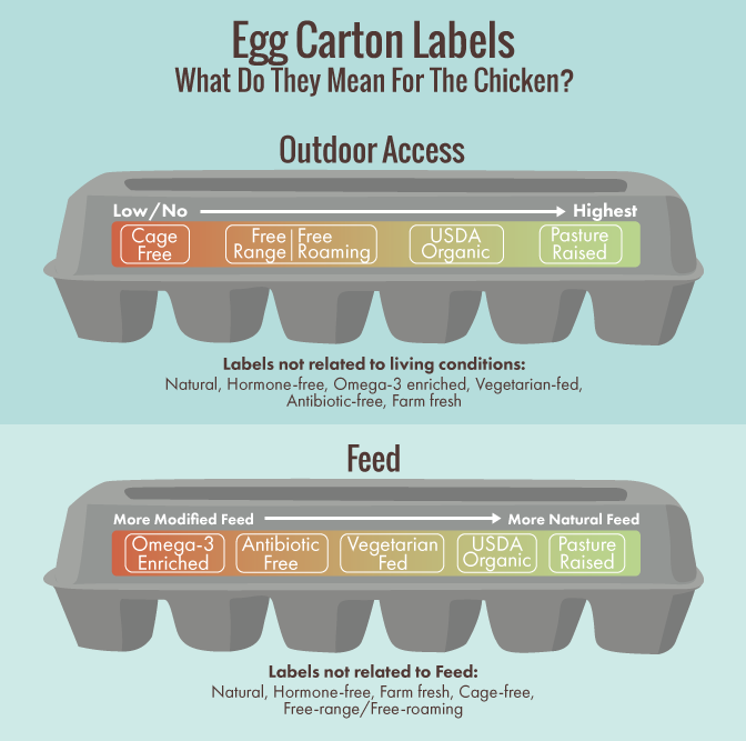 What Egg Carton Labels Really Mean for You and the Chicken courtesy Andrea Moore.