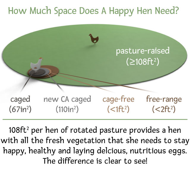Classification system for caged, cage-free, free-range, and pasture-raised courtesy Vital Farms.