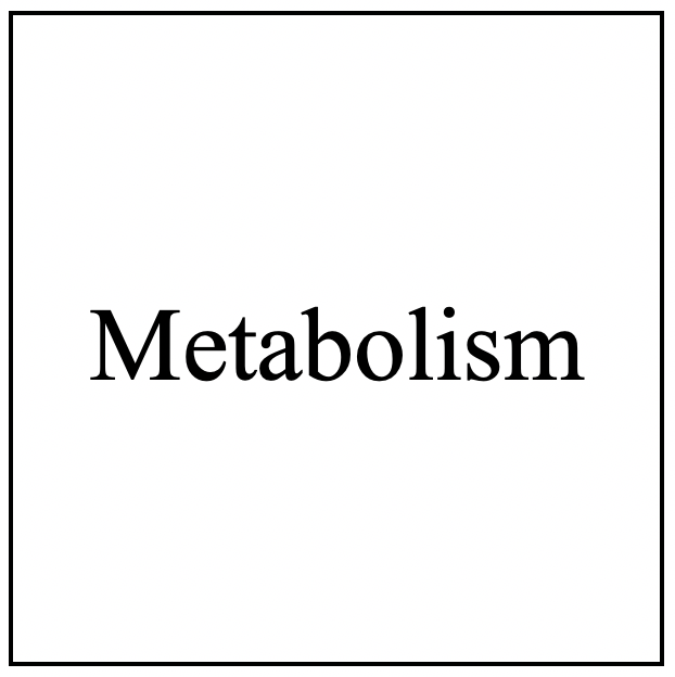 Metabolism